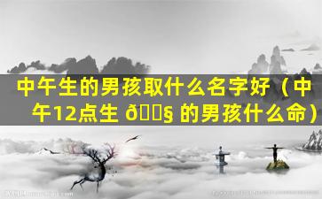 中午生的男孩取什么名字好（中午12点生 🐧 的男孩什么命）